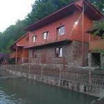 у льотчика Villa Polyana (Transcarpathia)