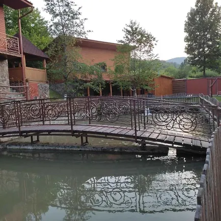 у льотчика Villa Polyana (Transcarpathia)