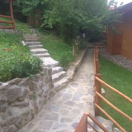 у льотчика *
