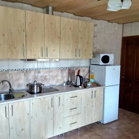 у льотчика