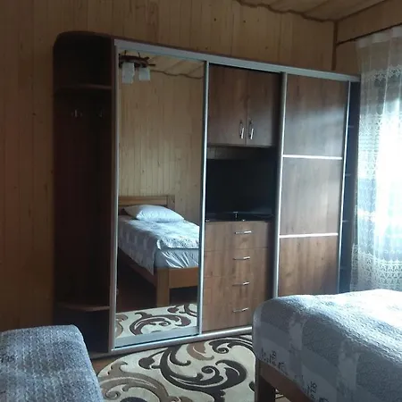 Villa у льотчика Polyana (Transcarpathia)
