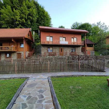 у льотчика Polyana (Transcarpathia)