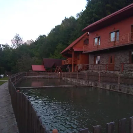 у льотчика Polyana (Transcarpathia)