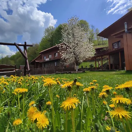 у льотчика Villa Polyana (Transcarpathia)