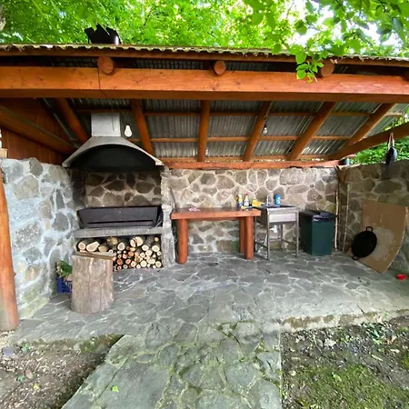 у льотчика Villa Polyana (Transcarpathia)