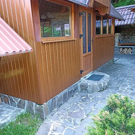 Villa у льотчика Polyana (Transcarpathia)