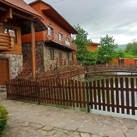у льотчика