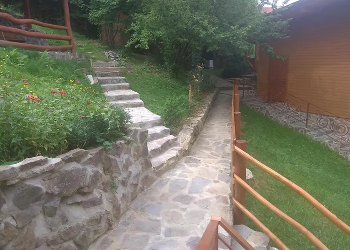 у льотчика *
