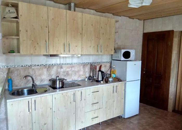 у льотчика