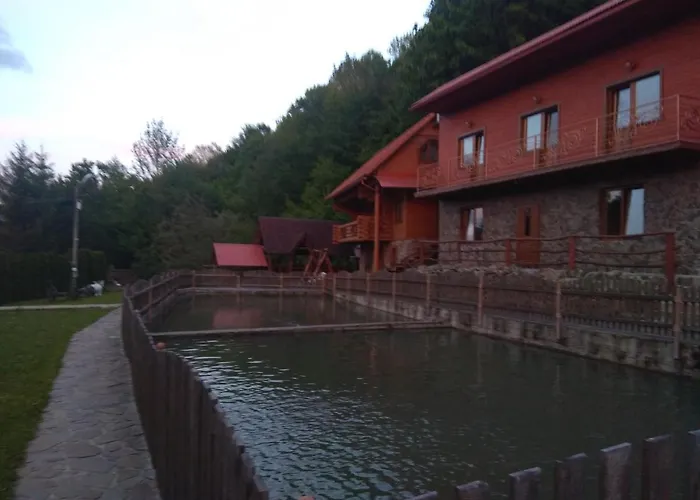 у льотчика Polyana (Transcarpathia)