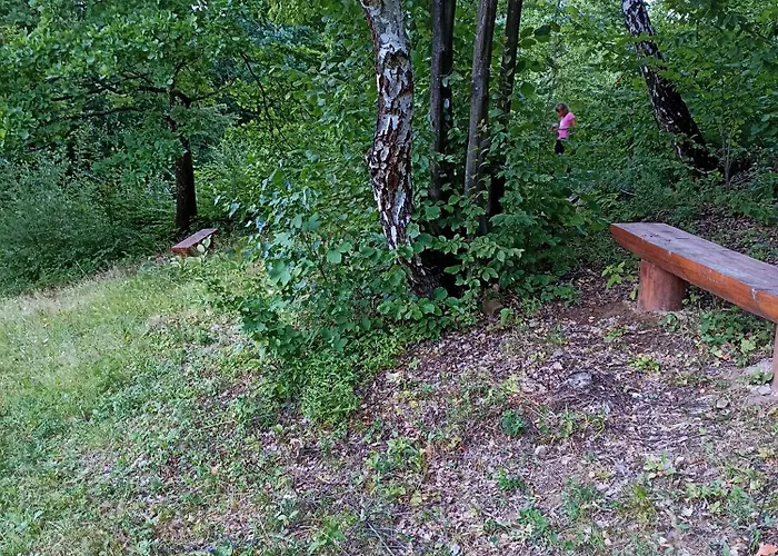 Villa у льотчика Polyana (Transcarpathia)
