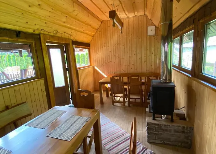 у льотчика Polyana (Transcarpathia)