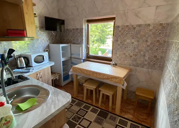 Villa у льотчика Polyana (Transcarpathia)