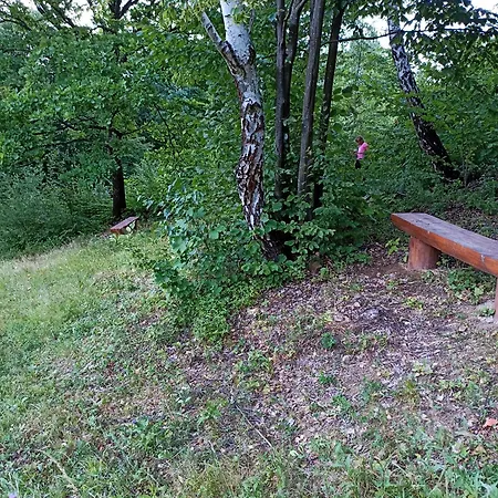 Villa у льотчика Polyana (Transcarpathia)