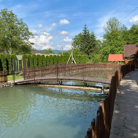 Villa у льотчика Polyana (Transcarpathia)